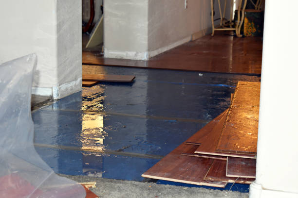 Professional Burst Pipe Cleanup technician working in Waldron, WA